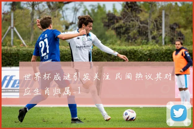 世界杯成谜引发关注 民间热议其对应生肖归属_1