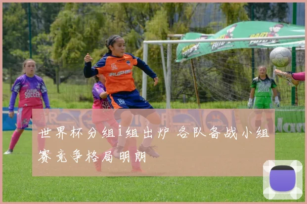 世界杯分组i组出炉 各队备战小组赛竞争格局明朗