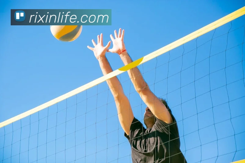 多媒体互动体验